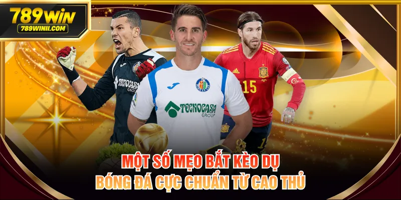 Một số mẹo bắt kèo dụ bóng đá cực chuẩn từ cao thủ